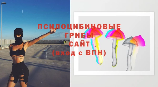 стаф Бугульма
