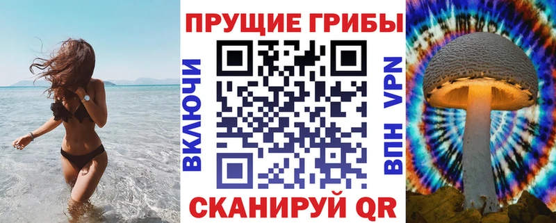 Галлюциногенные грибы Psilocybine cubensis  Северск 